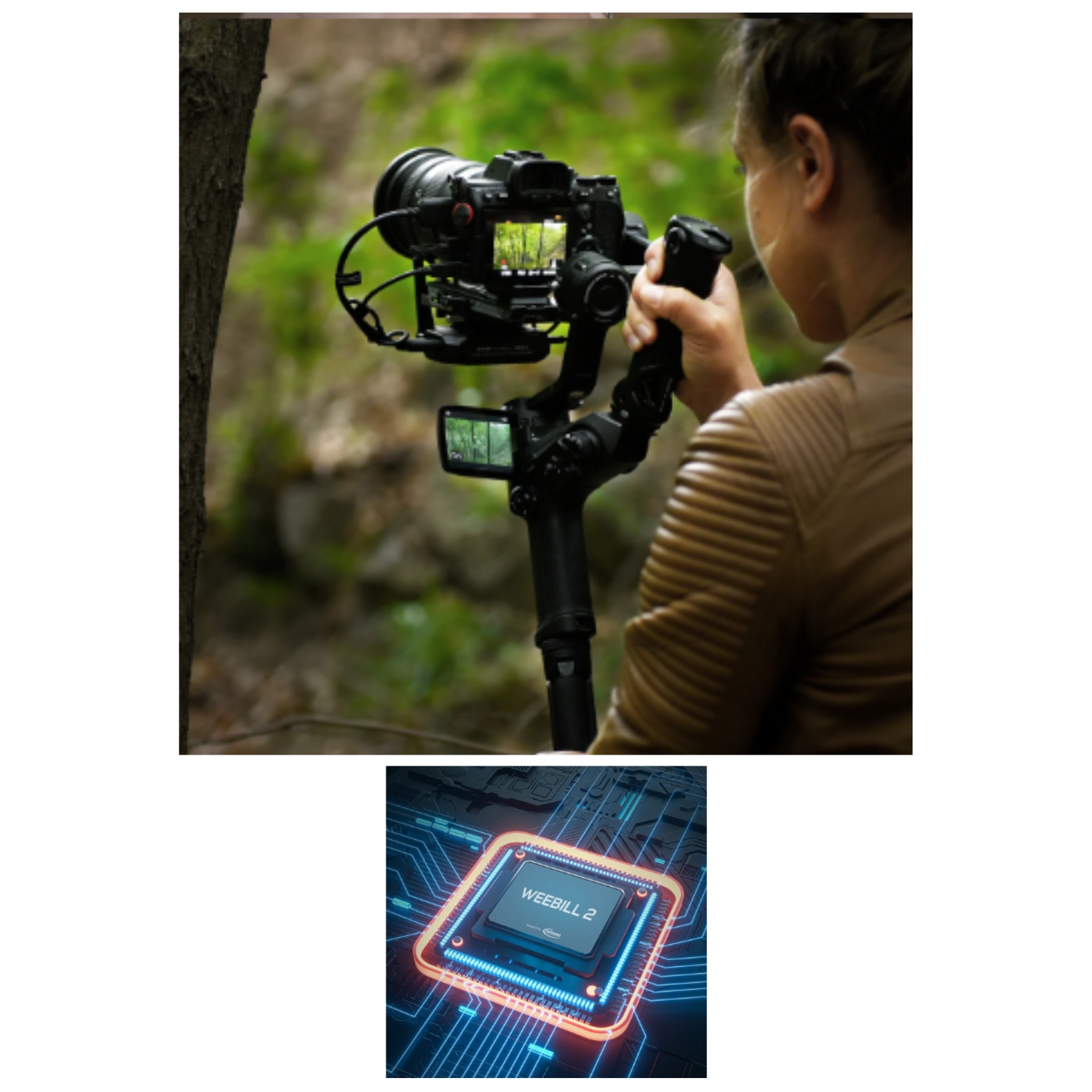 Estabilizador Zhiyun Weebill 2 Combo, (mirrorless o réflex) Mango TransMount y Bolso - Imagen 6