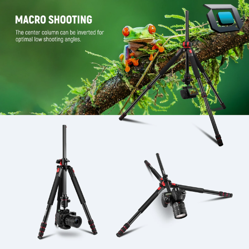 Trípode y monopié NEEWER N284L con rótula G0 para cámaras DSLR y mirrorless.
